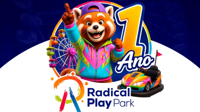 Radical Play Park 1 Ano